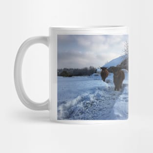 Scottish Highland Cattle Cow and Calf 1684 Mug